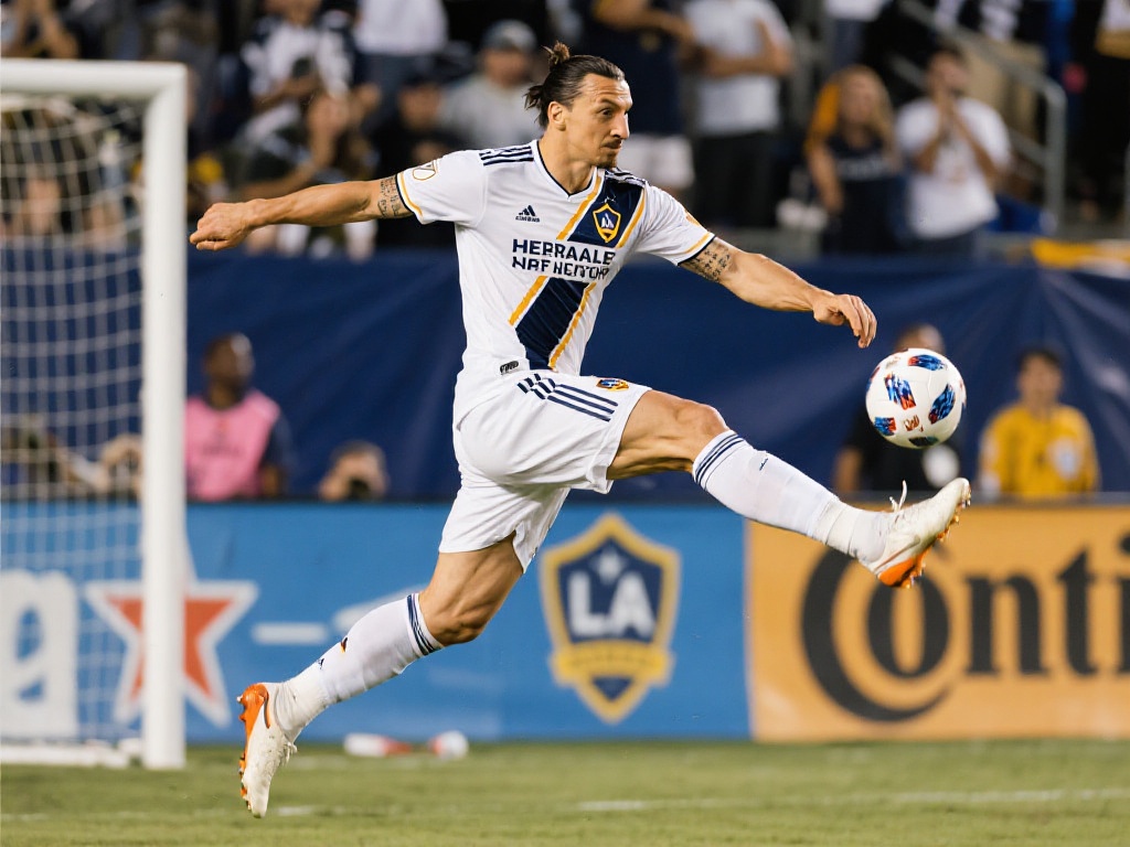 的冠军奖金 的冠军奖金