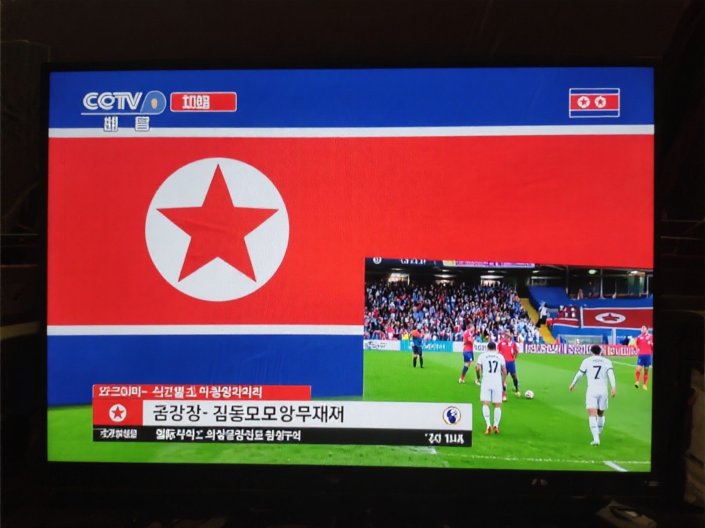 如果日本队 如果日本队